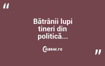 Bătrânii lupi tineri din politică... ...