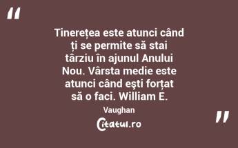 Tinereţea este atunci când ţi se permite să stai târziu în ajunul Anului Nou. Vârsta medie este atunci când eşti forţat să o faci. William E. Vaughan...