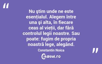 Nu ştim unde ne este esenţialul. Alegem între una şi alta, în fiecare ceas al vieţii, dar fără controlul legii noastre. Sau poate: fugim de propria noastră lege, alegând. Constantin Noica...