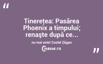 Tinereţea: Pasărea Phoenix a timpului; renaşte după ce... nu mai este! Costel Zăgan...