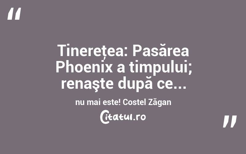 Tinereţea: Pasărea Phoenix a timpului; renaşte după ce... nu mai este! Costel Zăgan
