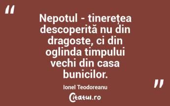 Nepotul - tinereţea descoperită nu din dragoste, ci din oglinda timpului vechi din casa bunicilor. Ionel Teodoreanu...