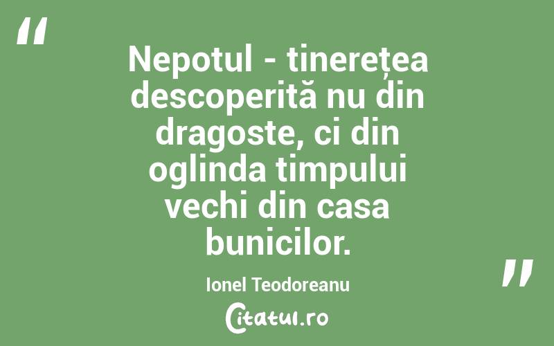 Nepotul - tinereţea descoperită nu din dragoste, ci din oglinda timpului vechi din casa bunicilor. Ionel Teodoreanu