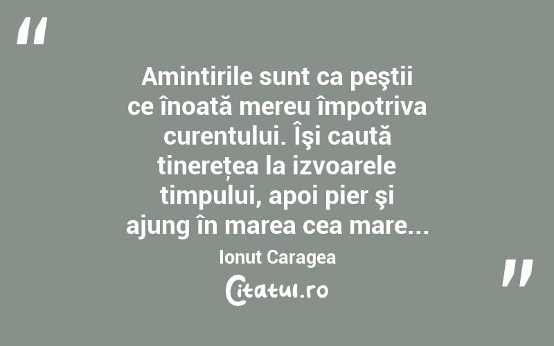 Amintirile sunt ca peştii ce înoată mereu împotriva curentului. Îşi caută tinereţea la izvoarele timpului, apoi pier şi ajung în marea cea mare... Ionuț Caragea
