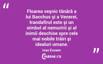 Floarea veşnic tânără a lui Bacchus şi a Venerei, trandafirul este şi un simbol al nemuririi şi al inimii deschise spre cele mai nobile trăiri şi idealuri umane. Ivan Evseev...
