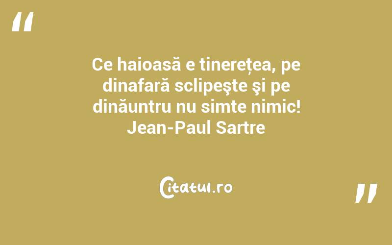 Ce haioasă e tinereţea, pe dinafară sclipeşte şi pe dinăuntru nu simte nimic! Jean-Paul Sartre
