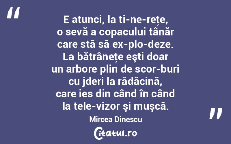 E atunci, la ti­ne­reţe, o sevă a copacului tânăr care stă să ex­plo­deze. La bătrâneţe eşti doar un arbore plin de scor­buri cu jderi la rădăcină, care ies din când în când la tele­vizor şi muşcă. Mircea Dinescu

