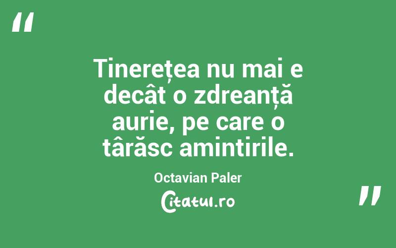 Tinereţea nu mai e decât o zdreanţă aurie, pe care o târăsc amintirile. Octavian Paler
