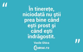 În tinereţe, niciodată nu ştii prea bine când eşti prost şi când eşti îndrăgostit. Vasile Ghica...