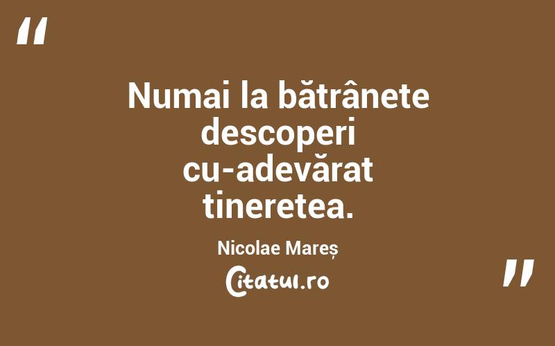 Numai la bătrânețe descoperi cu-adevărat tinerețea. Nicolae Mareș
