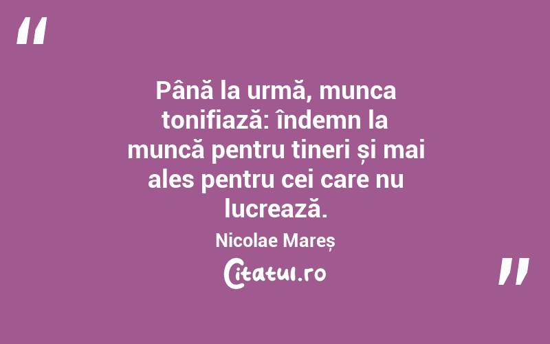 Până la urmă, munca tonifiază: îndemn la muncă pentru tineri și mai ales pentru cei care nu lucrează. Nicolae Mareș
