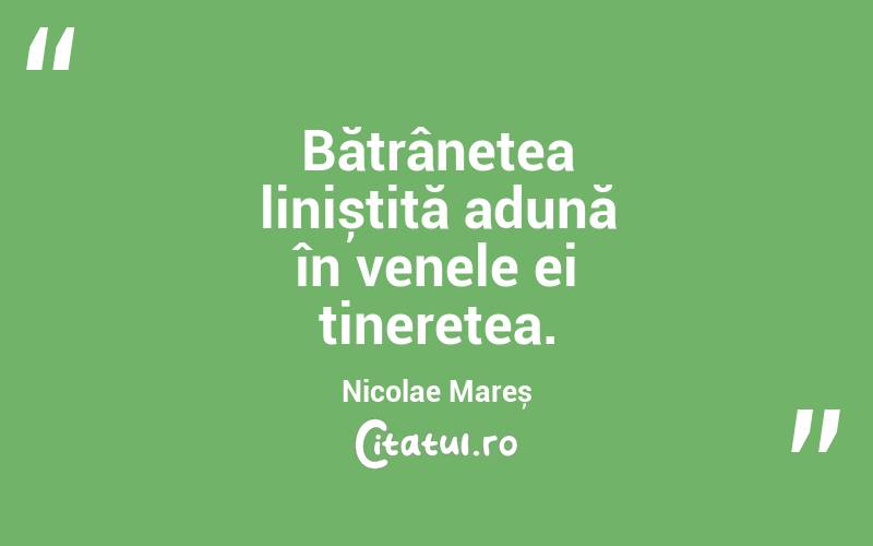Bătrânețea liniștită adună în venele ei tinerețea. Nicolae Mareș