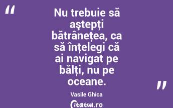 Nu trebuie să aştepţi bătrâneţea, ca să înţelegi că ai navigat pe bălţi, nu pe oceane. Vasile Ghica...