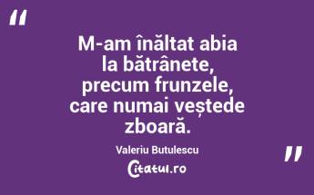 M-am înălțat abia la bătrânețe, precum frunzele, care numai veștede zboară. Valeriu Butulescu...