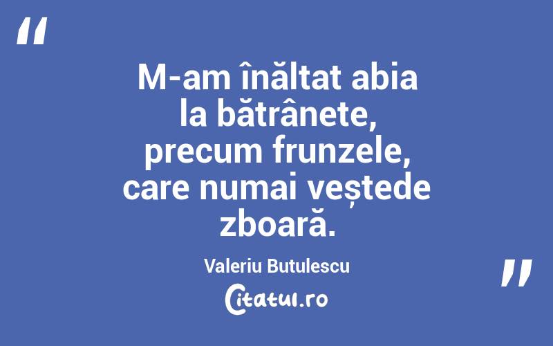 M-am înălțat abia la bătrânețe, precum frunzele, care numai veștede zboară. Valeriu Butulescu
