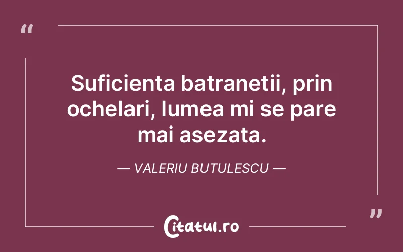Suficienta batranetii, prin ochelari, lumea mi se pare mai asezata. Valeriu Butulescu