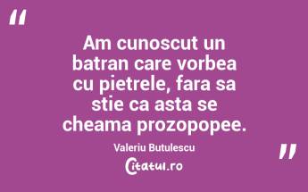Am cunoscut un batran care vorbea cu pietrele, fara sa stie ca asta se cheama prozopopee. Valeriu Butulescu...