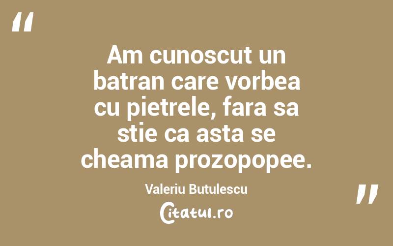 Am cunoscut un batran care vorbea cu pietrele, fara sa stie ca asta se cheama prozopopee. Valeriu Butulescu
