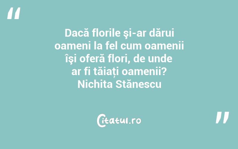 Dacă florile şi-ar dărui oameni la fel cum oamenii îşi oferă flori, de unde ar fi tăiaţi oamenii? Nichita Stănescu