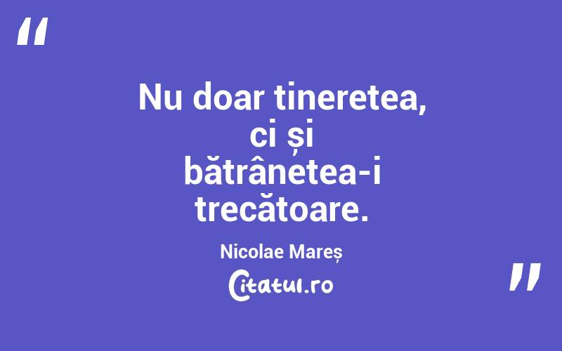 Nu doar tinerețea, ci și bătrânețea-i trecătoare. Nicolae Mareș
