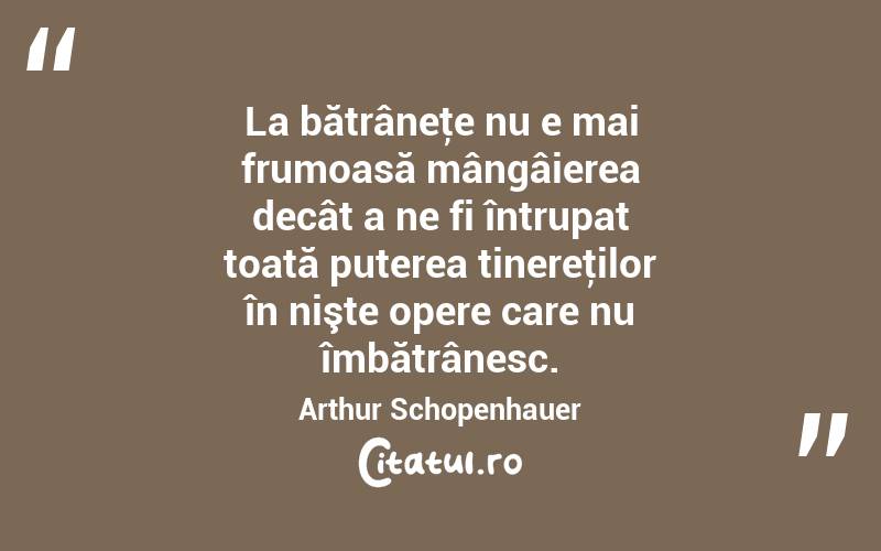 La bătrâneţe nu e mai frumoasă mângâierea decât a ne fi întrupat toată puterea tinereţilor în nişte opere care nu îmbătrânesc. Arthur Schopenhauer

