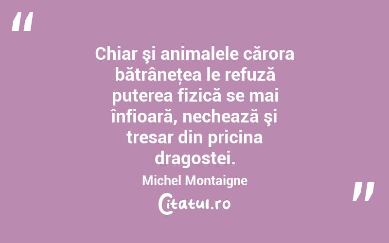  Chiar şi animalele cărora bătrâneţea le refuză puterea fizică se mai înfioară, nechează şi tresar din pricina dragostei. Michel Montaigne
