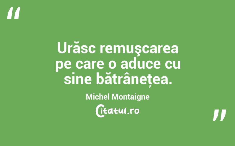 Urăsc remuşcarea pe care o aduce cu sine bătrâneţea. Michel Montaigne
