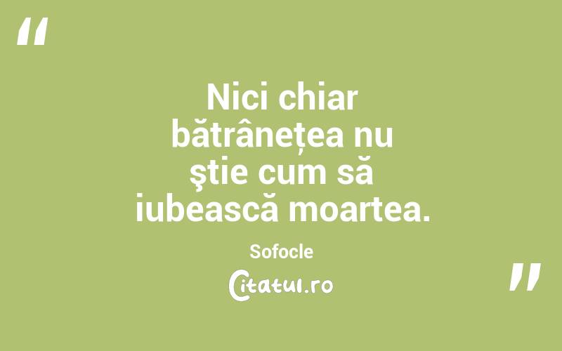 Nici chiar bătrâneţea nu ştie cum să iubească moartea. Sofocle
