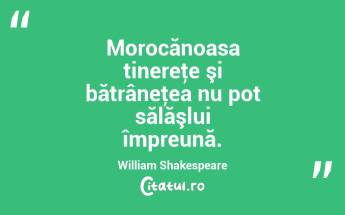 Morocănoasa tinereţe şi bătrâneţea nu pot sălăşlui împreună. William Shakespeare...
