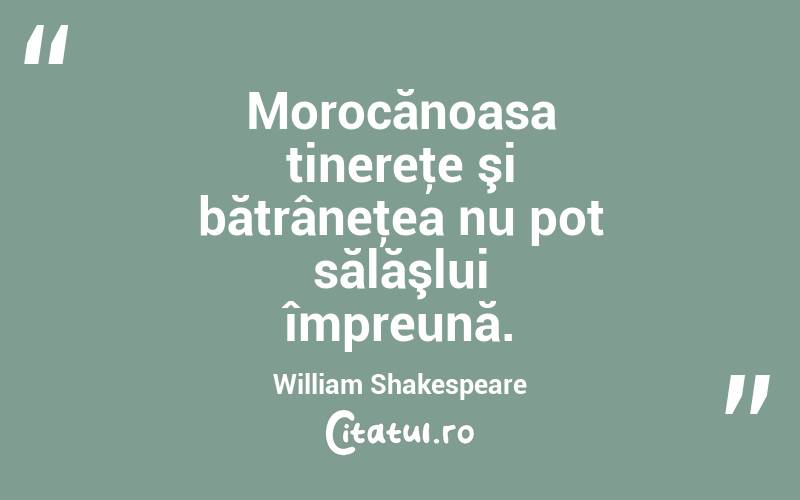 Morocănoasa tinereţe şi bătrâneţea nu pot sălăşlui împreună. William Shakespeare
