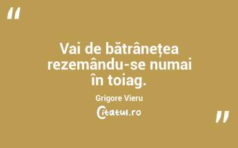 Vai de bătrâneţea rezemându-se numai în toiag. Grigore Vieru...