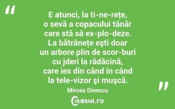 E atunci, la ti­ne­reţe, o sevă a copacului tânăr care stă să ex­plo­deze. La bătrâneţe eşti doar un arbore plin de scor­buri cu jderi la rădăcină, care ies din când în când la tele­vizor şi muşcă. Mircea Dinescu...
