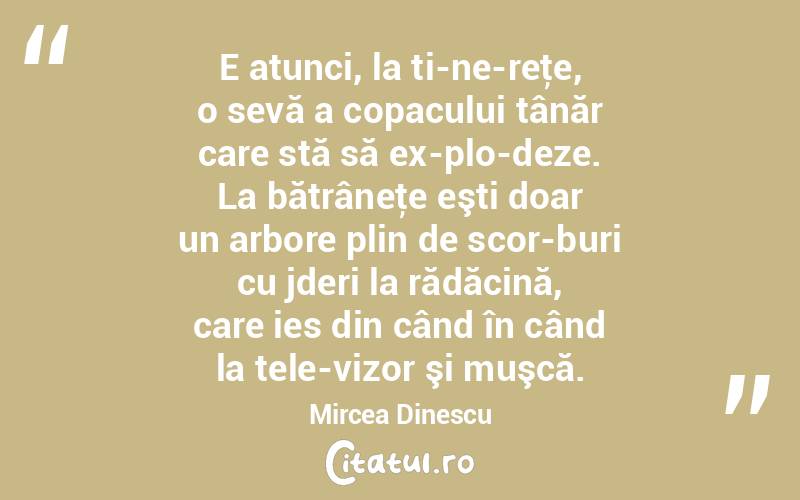 E atunci, la ti­ne­reţe, o sevă a copacului tânăr care stă să ex­plo­deze. La bătrâneţe eşti doar un arbore plin de scor­buri cu jderi la rădăcină, care ies din când în când la tele­vizor şi muşcă. Mircea Dinescu
