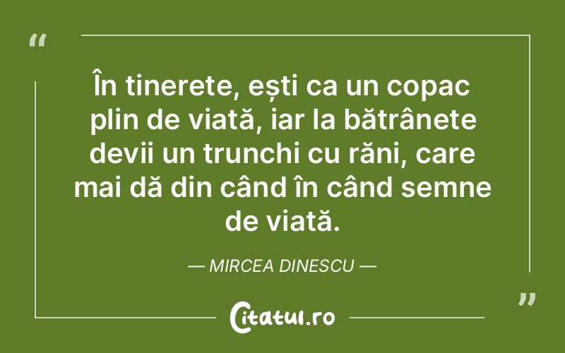 În tinerețe, ești ca un copac plin de viață, iar la bătrânețe devii un trunchi cu răni, care mai dă din când în când semne de viață. Mircea Dinescu