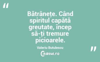 Bătrâneţe. Când spiritul capătă greutate, încep să-ţi tremure picioarele. Valeriu Butulescu...