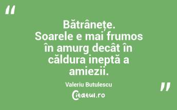 Bătrâneţe. Soarele e mai frumos în amurg decât în căldura ineptă a amiezii. Valeriu Butulescu...