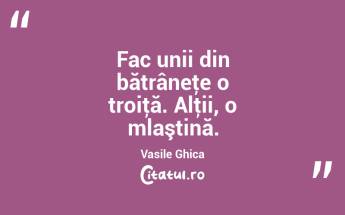 Fac unii din bătrâneţe o troiţă. Alţii, o mlaştină. Vasile Ghica...