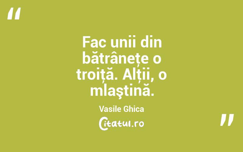 Fac unii din bătrâneţe o troiţă. Alţii, o mlaştină. Vasile Ghica
