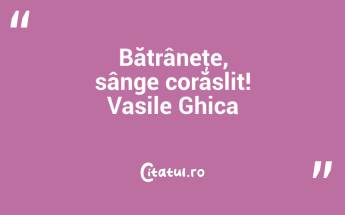 Bătrâneţe, sânge corăslit! Vasile Ghica...