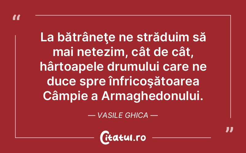 La bătrâneţe ne străduim să mai netezim, cât de cât, hârtoapele drumului care ne duce spre înfricoşătoarea Câmpie a Armaghedonului. Vasile Ghica