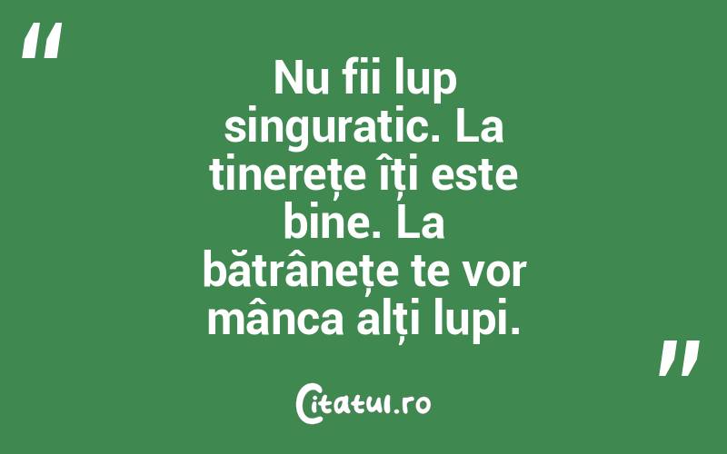 Nu fii lup singuratic. La tinereţe îţi este bine. La bătrâneţe te vor mânca alţi lupi.  
