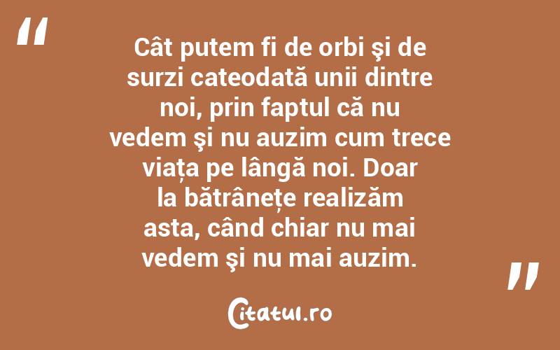 Cât putem fi de orbi şi de surzi cateodată unii dintre noi, prin faptul că nu vedem şi nu auzim cum trece viaţa pe lângă noi. Doar la bătrâneţe realizăm asta, când chiar nu mai vedem şi nu mai auzim.  
