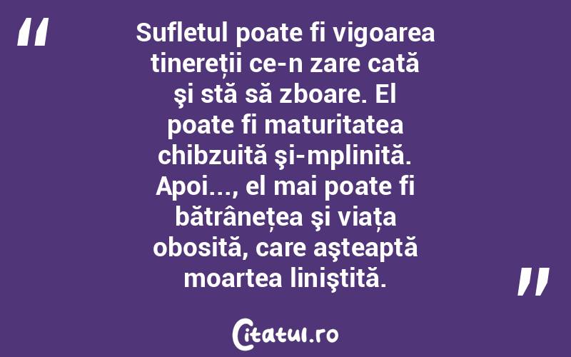 Sufletul poate fi vigoarea tinereţii ce-n zare cată şi stă să zboare. El poate fi maturitatea chibzuită şi-mplinită. Apoi..., el mai poate fi bătrâneţea şi viaţa obosită, care aşteaptă moartea liniştită.  
