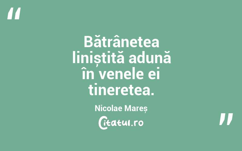 Bătrânețea liniștită adună în venele ei tinerețea. Nicolae Mareș
