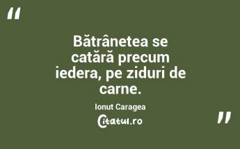 Bătrânețea se cațără precum iedera, pe ziduri de carne. Ionuț Caragea...