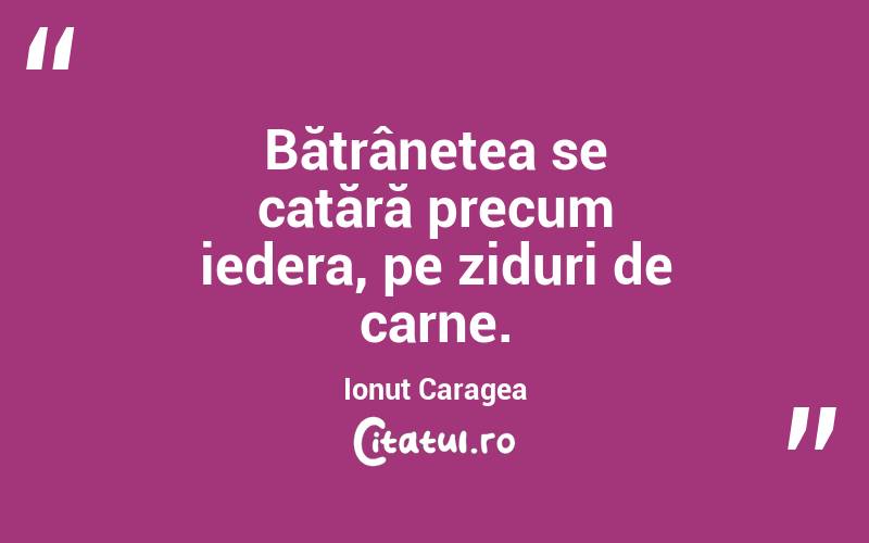Bătrânețea se cațără precum iedera, pe ziduri de carne. Ionuț Caragea