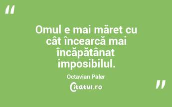 Omul e mai măreț cu cât încearcă mai încăpățânat imposibilul. Octavian Paler...
