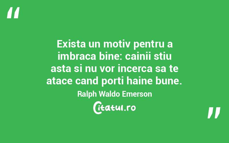 Exista un motiv pentru a imbraca bine: cainii stiu asta si nu vor incerca sa te atace cand porti haine bune. Ralph Waldo Emerson
