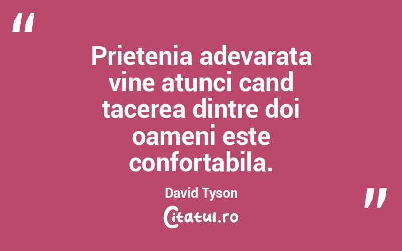 Prietenia adevarata vine atunci cand tacerea dintre doi oameni este confortabila. David Tyson
