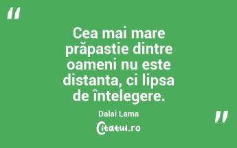 Cea mai mare prăpastie dintre oameni nu este distanța, ci lipsa de înțelegere. Dalai Lama...
